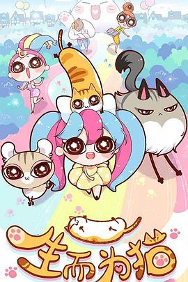 SEO排名核心是什么